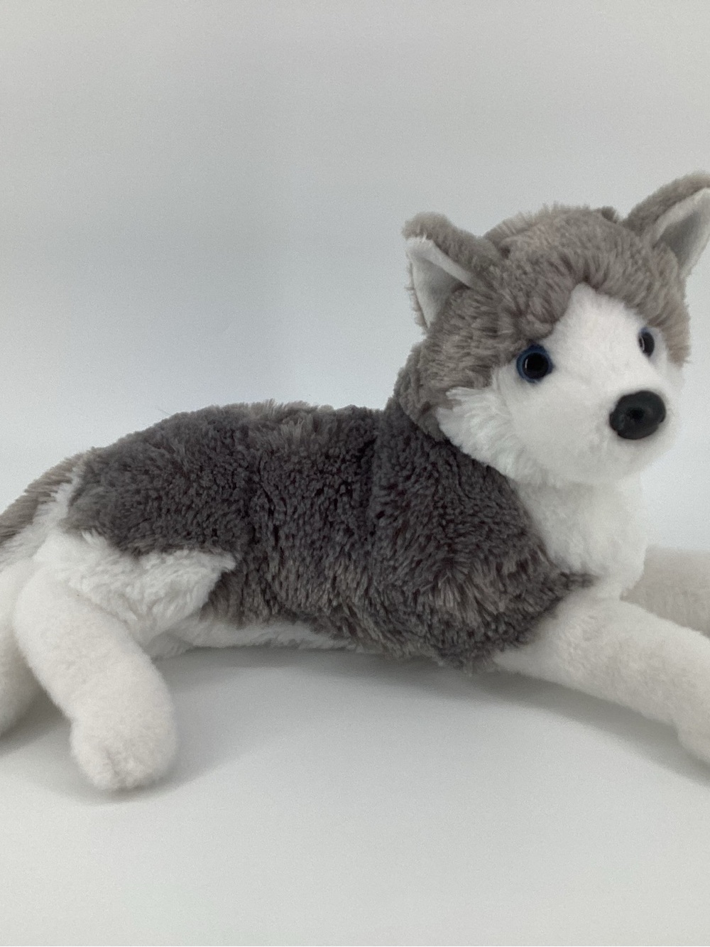 Douglas Husky Plush #4327 Blue Eyes Puppy Laying Down Cuddle Toy Collectible